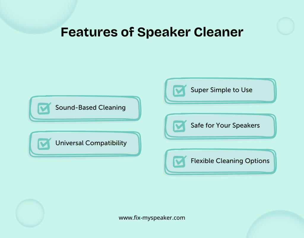 Features of Speaker Cleaner